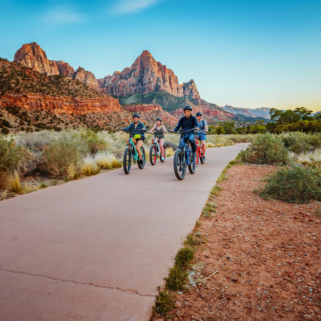 Zion Peddler
