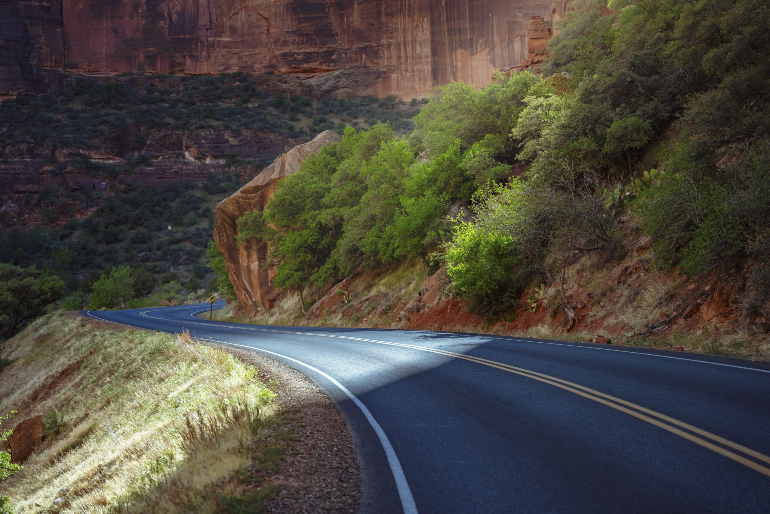 A view of the scenic drive up the canyon in Zion National Park.