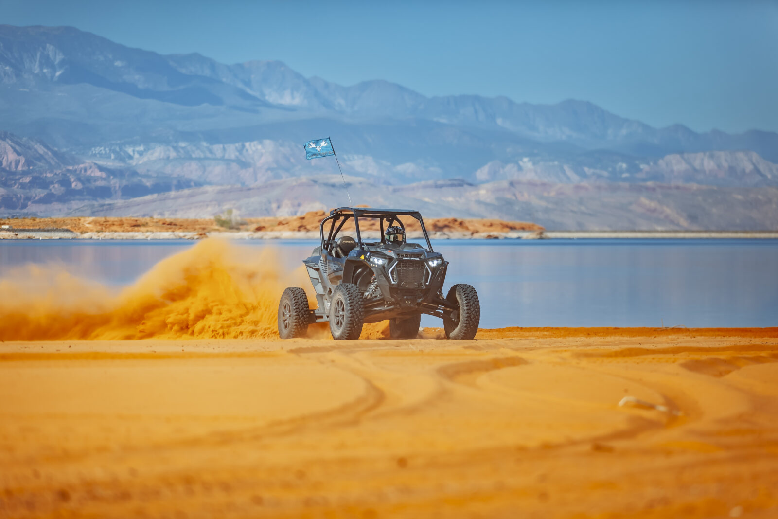 Mad Moose – Rentals & Tours