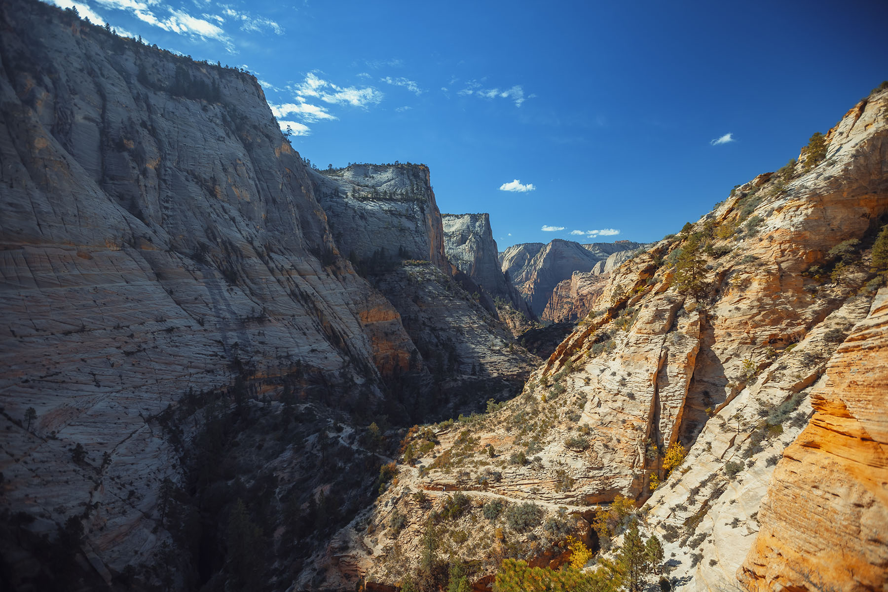 Stunning panoramic view of the East Rim Trail in Zion National Park, showcasing rugged mountain landscapes and hiking paths.